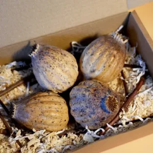 Buy DRIED POPPY HEADS IN CANADA